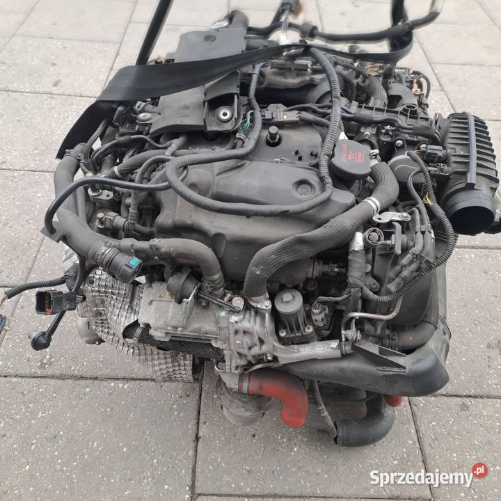 guar XF X250 Land Rover Discovery 30 TD V6 Silniki i osprzęt śląskie Jastrzębie-Zdrój sprzedam