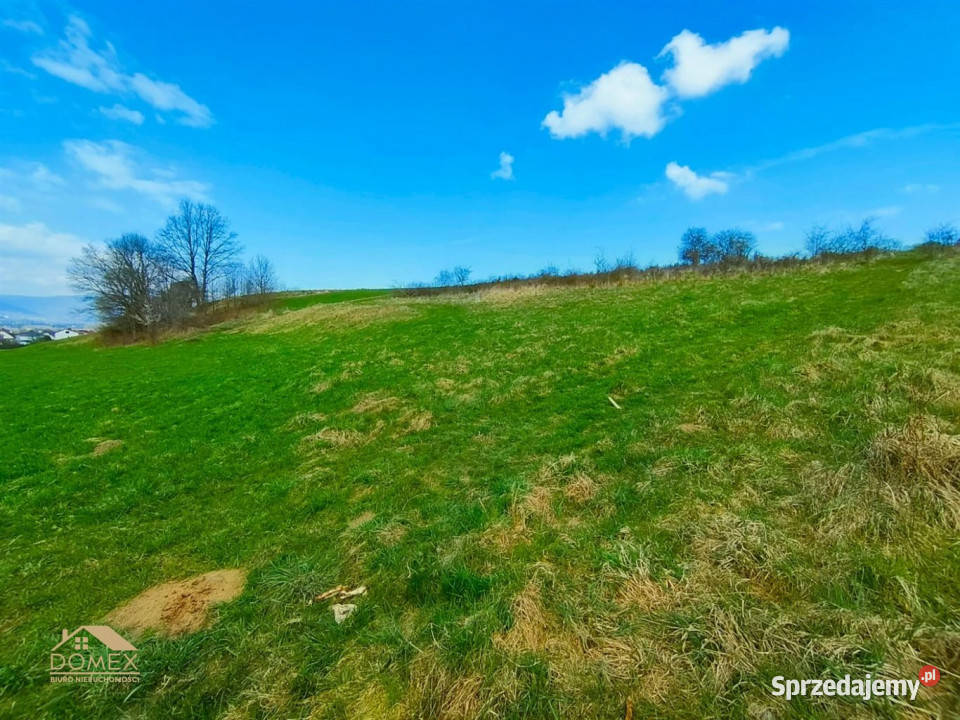 Grunt 1110m2 Wieprz sprzedam