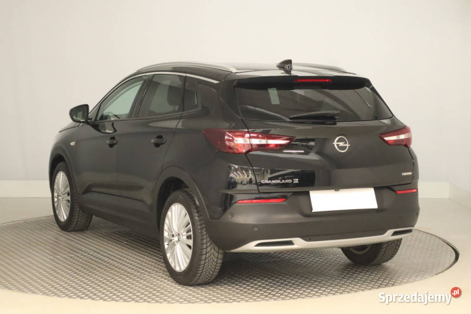 Opel Grandland 12 Turbo ASR (kontrola trakcji) śląskie Zabrze