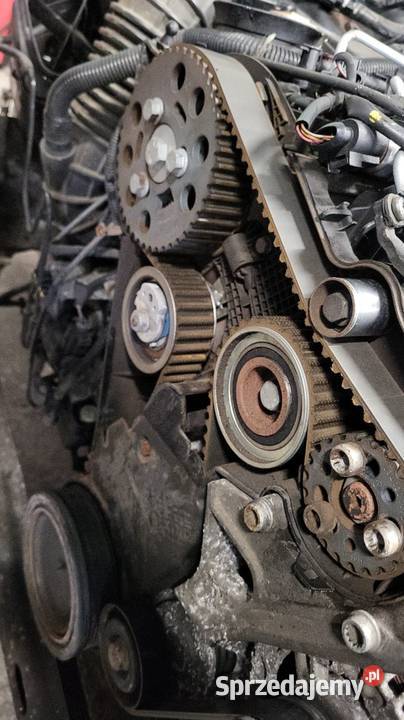 Silnik kompletny caga Rok produkcji 2010 Sanniki