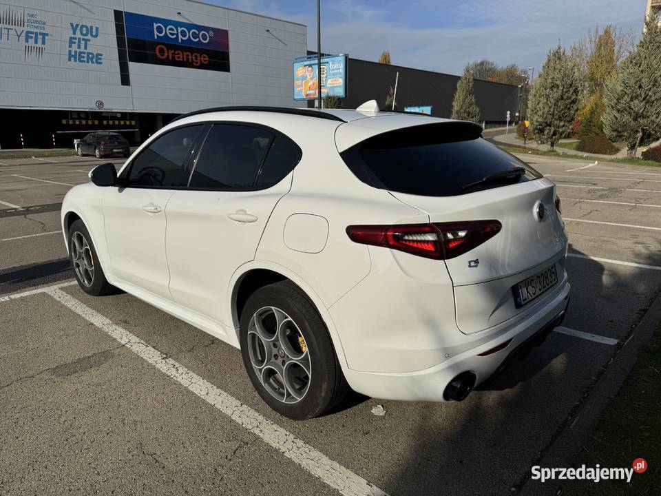 Alfa Romeo Stelvio 1995cm3 Stelvio lubelskie