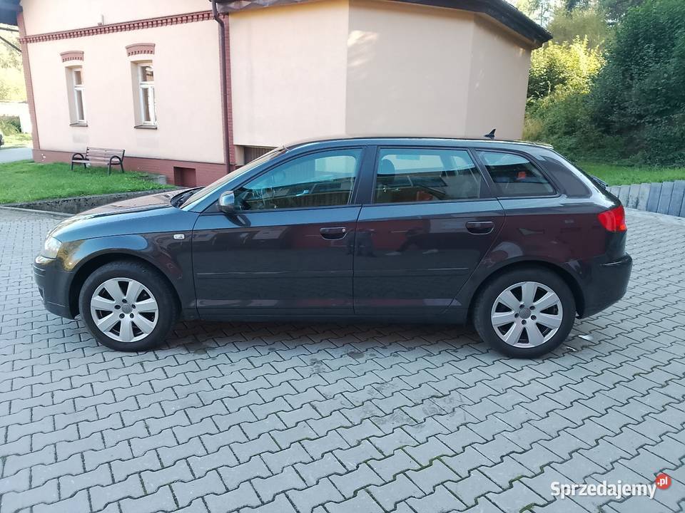 Sprzedam Audi a3 19TDI 105 2006r klima stan tempomat Grybów