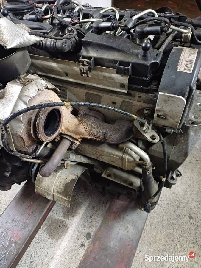 Silnik vw 16 tdi caya skoda passat audi golf Pszczyna