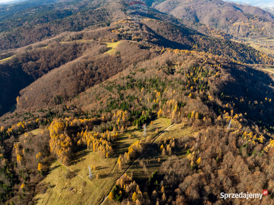 Domek rekreacyjny Krościenko Dunajcem Sprzedaż Krościenko nad Dunajcem sprzedam