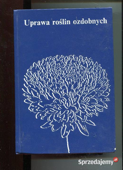 Uprawa roślin ozdobnych Szczecin
