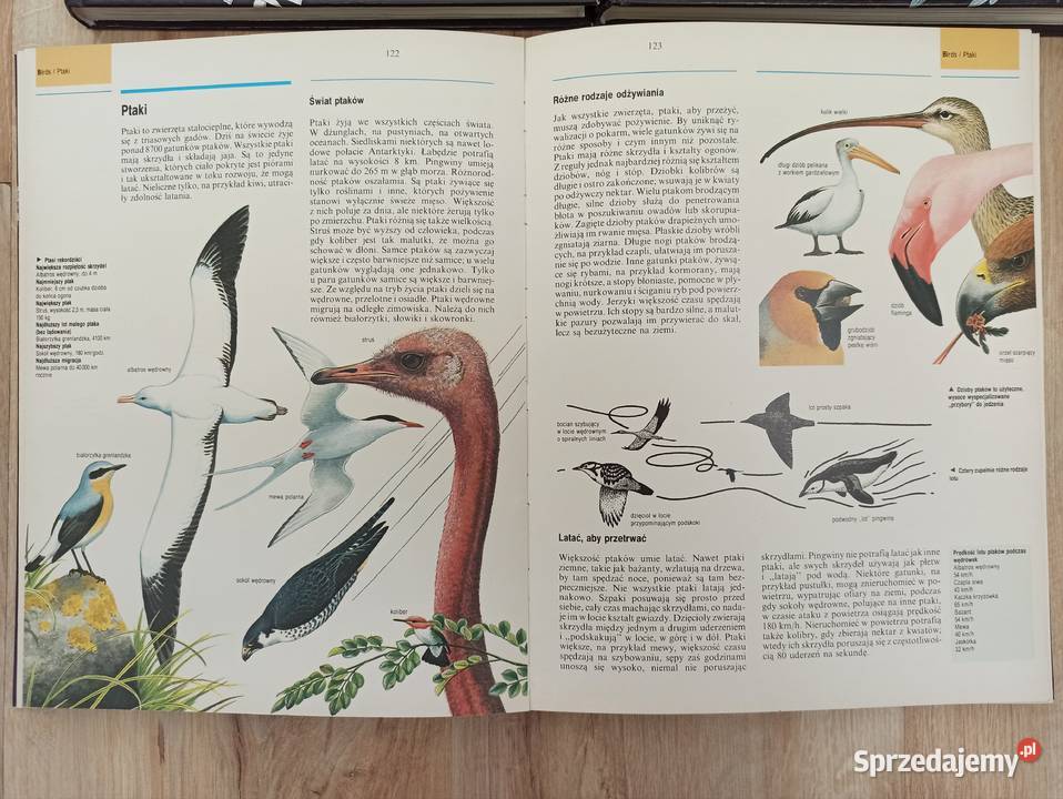 Encyklopedia OXFORD 7 tomw Rok wydania 1997 Książki naukowe i popularnonaukowe Oława sprzedam