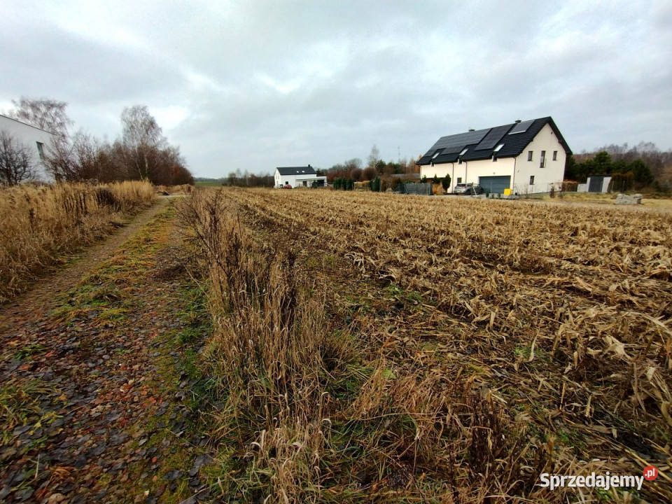 Sprzedam grunt 1700m2 PłouszowiceKolonia Płouszowice-Kolonia sprzedam