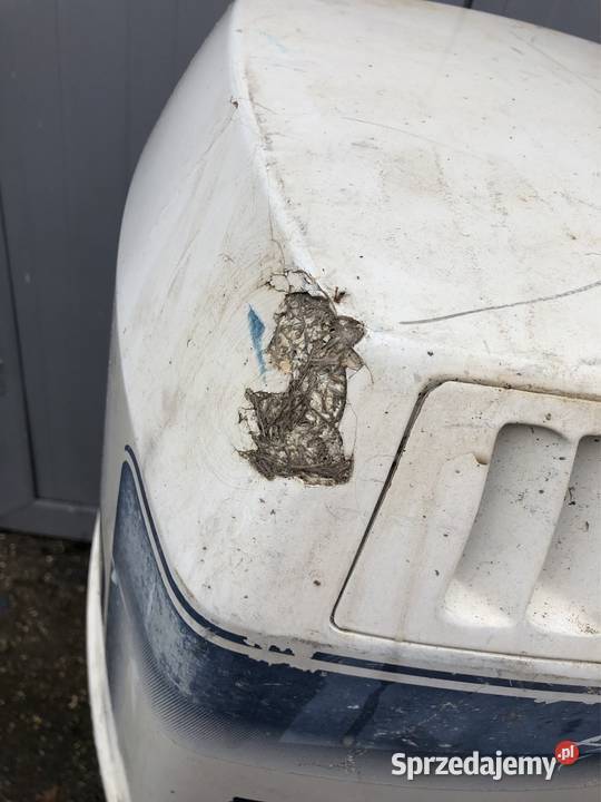 CApa silnika zaburtowego Evinrude 150 wielkopolskie Piła