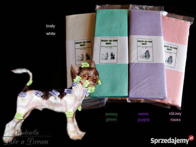 Papiloty psów psa papierowofoliowe gumki Działdowo