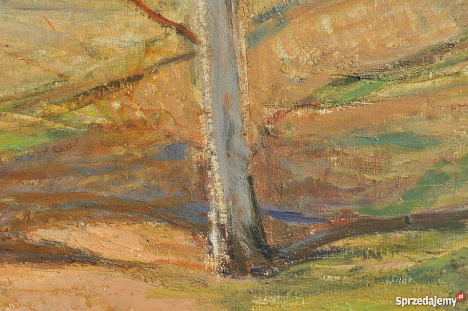 Wielki piękny pejzaż antyk Wrocław sprzedam