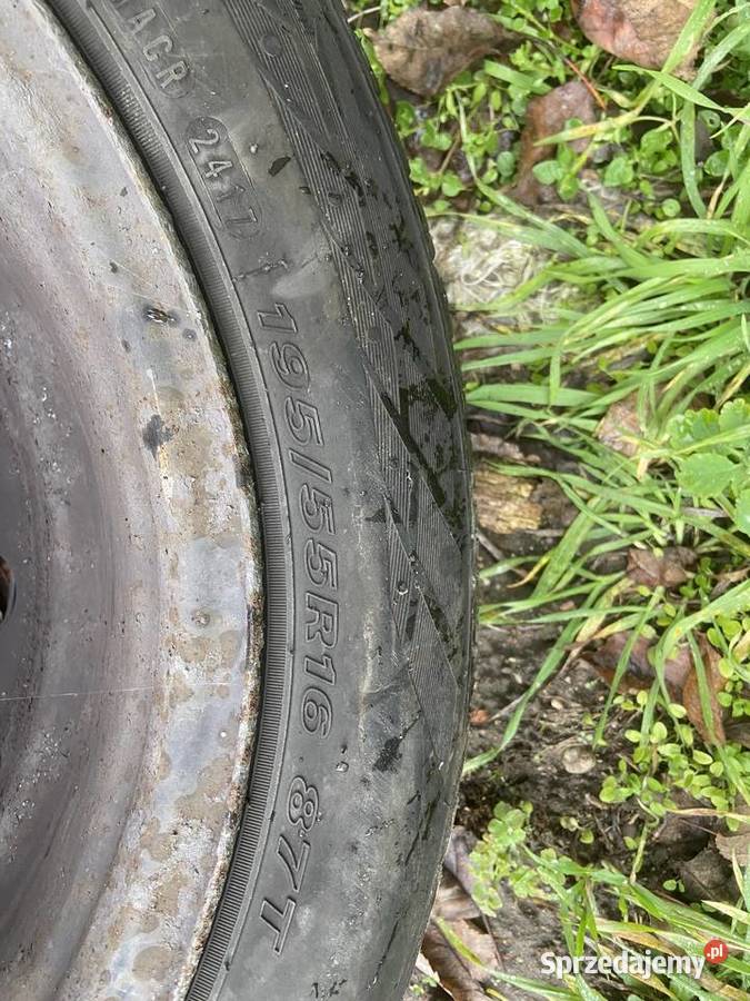 Opony zimowe NEXEN 19555R16 Duchnice