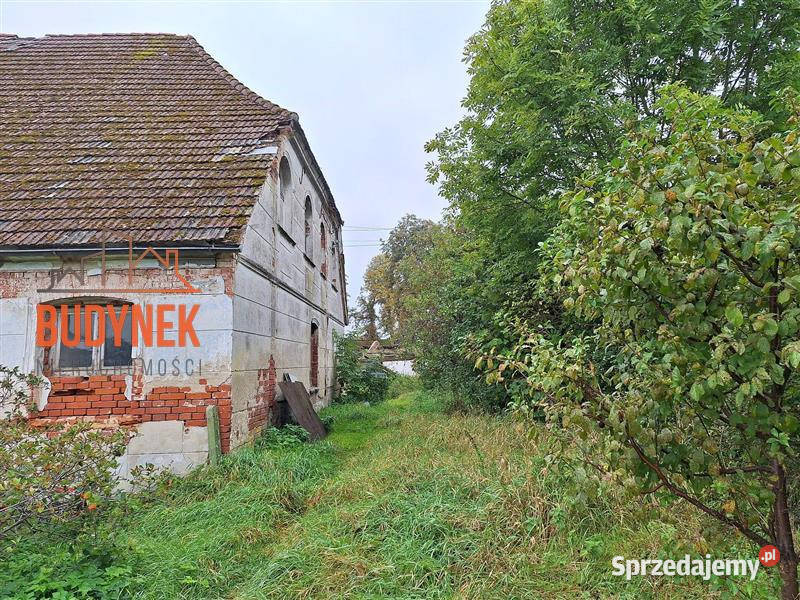 Dom wolnostojący Kopnica