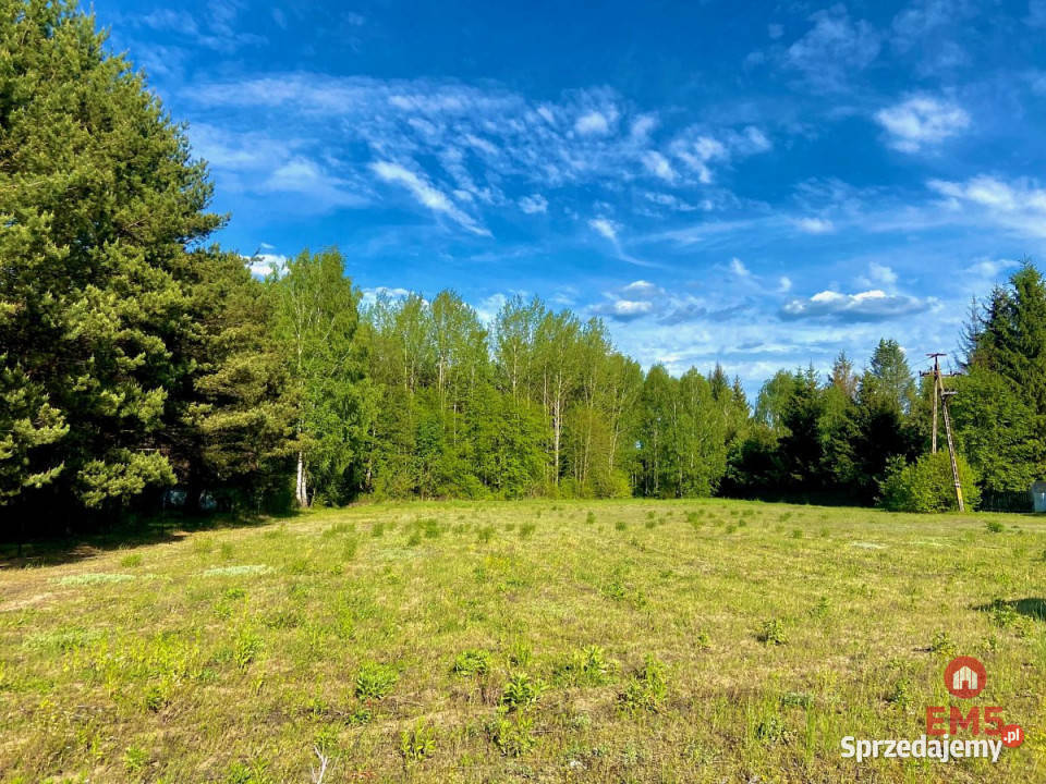 sprzedaży gruntu 3794m2 Katrynka podlaskie