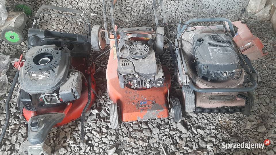 Kosiarka spalinowa EXklusiv QUEEN GARDEN Spalinowe Strzyżów