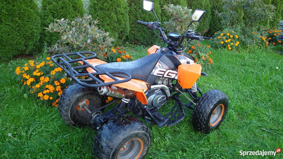 QUAD EGL Madix 125 Wrząsowice