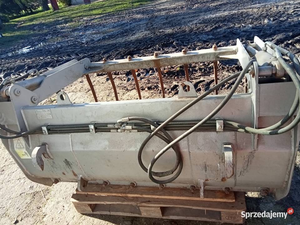 krokodyl do tura Trąbczyn Dworski