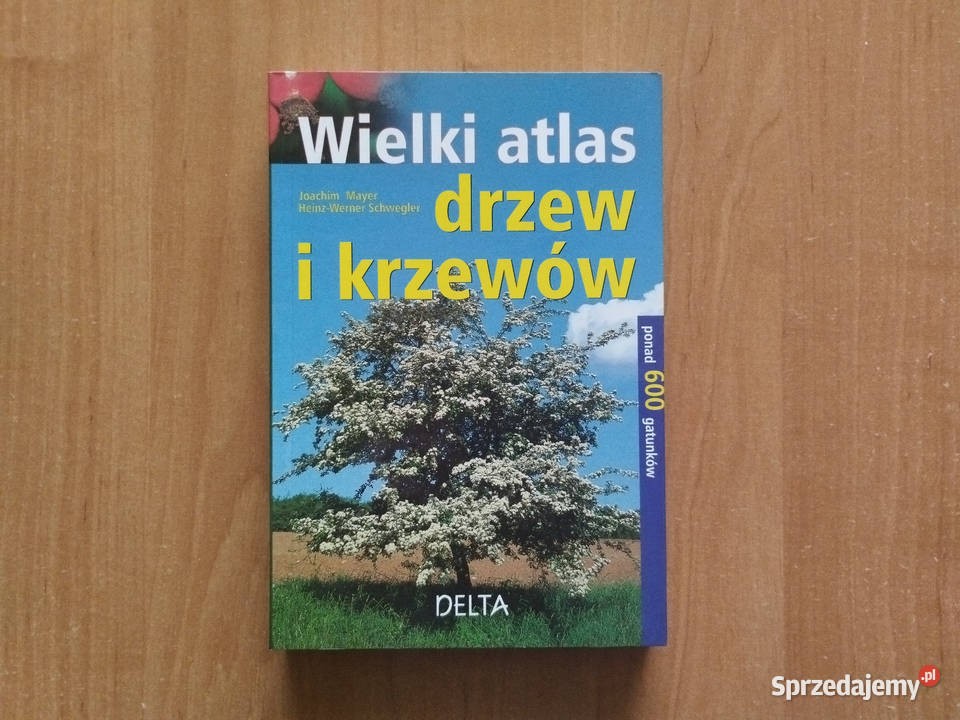 Książka Wielki atlas drzew i krzewów Katowice