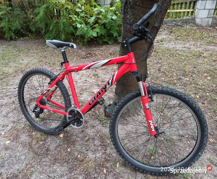 Rower dziecięcy górskimiejski GIANT aluminowa Radzyń Podlaski sprzedam