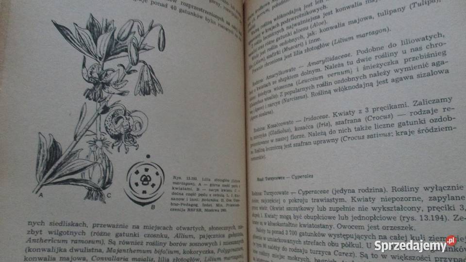 Świat roślin roślinność botanika biologia Łódź