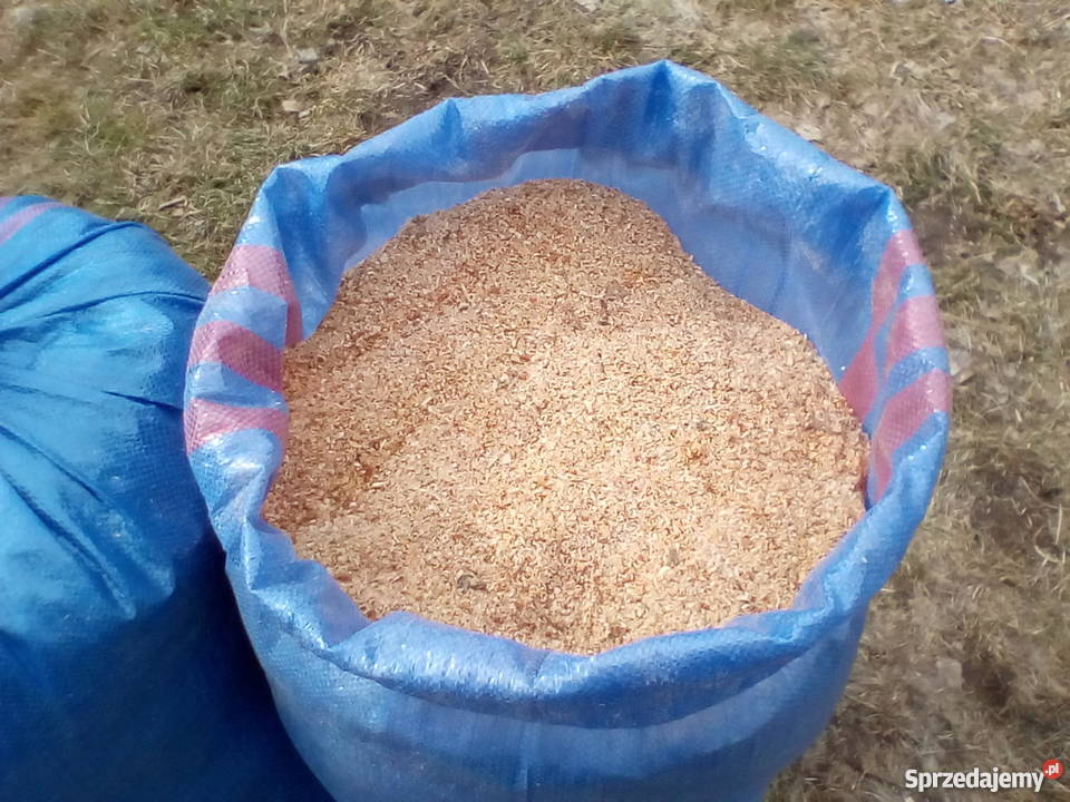 Trociny olchowe suche zworkowane lubelskie Klementowice sprzedam
