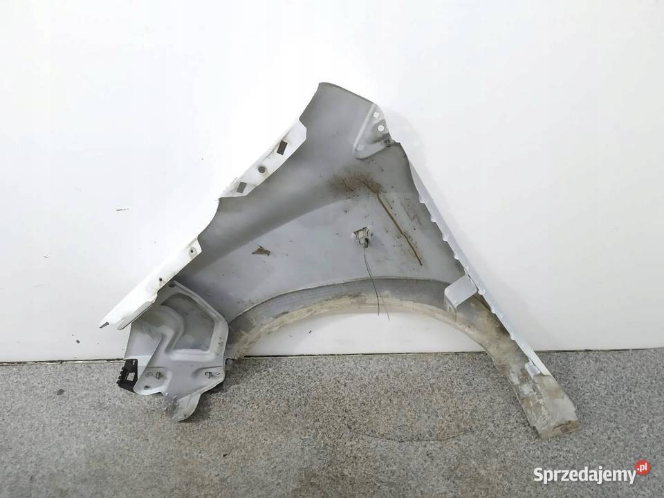 BŁOTNIK PRAWY PRZÓD D389 Dacia Dokker I 2012