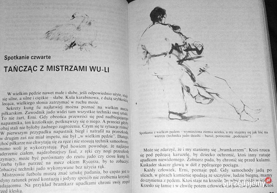 Moc Erniego Stanisław Tokarski Chełm