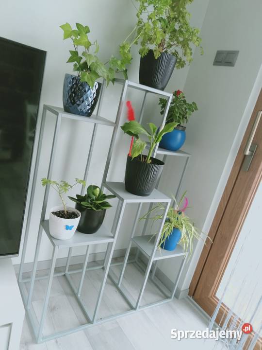 Duży kwietniki 6 stanowisk producent Oświęcim