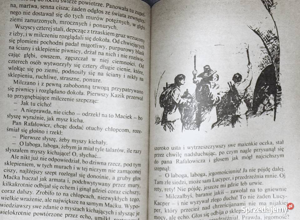 Szwedzi w Warszawie Walery Przyborowski