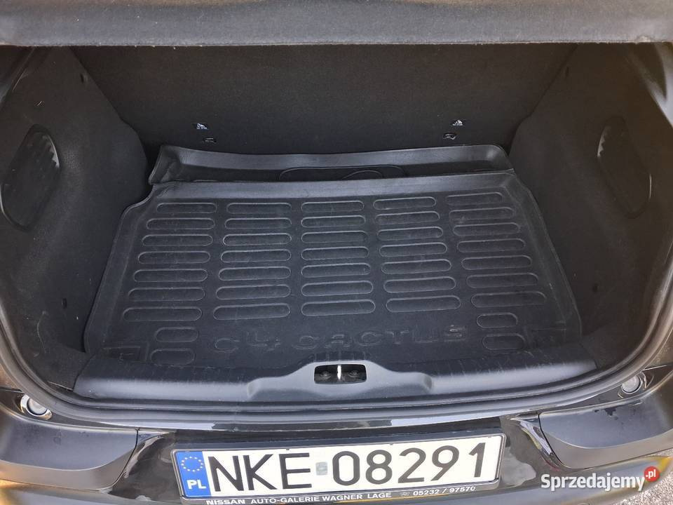 Sprzedam immobilizer C4 Cactus warmińsko-mazurskie Kętrzyn