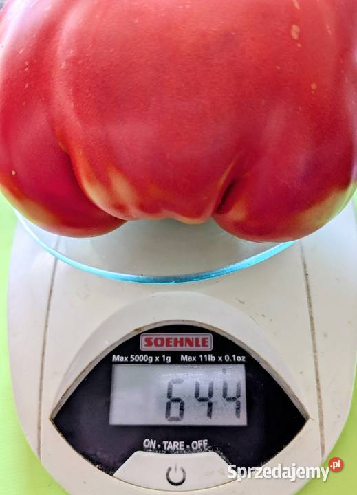 Stara Malinówka SS pomidor nasiona Nasiona Kraków