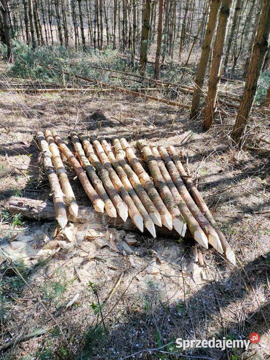 Kołki ogrodzeniowe pastuch ogrodzenie słupki Leśnictwo