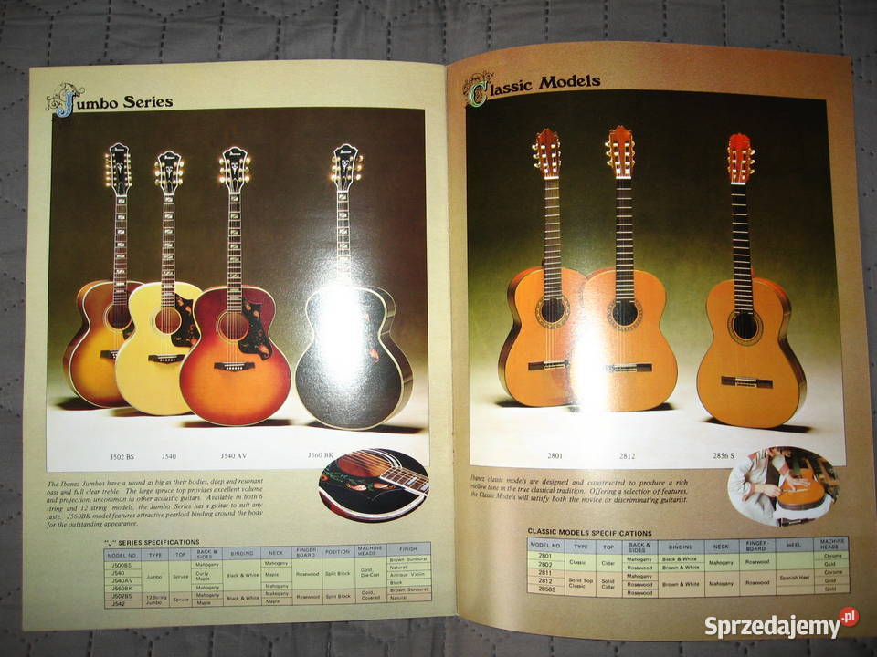 TAMAIbanez Acoustic Guitars katalog gitar Kępice