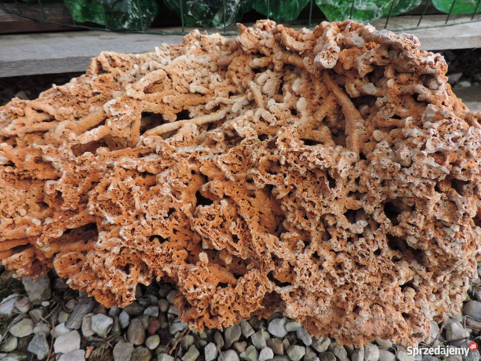 DO AKWARIUM BRYŁA SPAGHETTI 200400 mm Bobrek k sprzedam