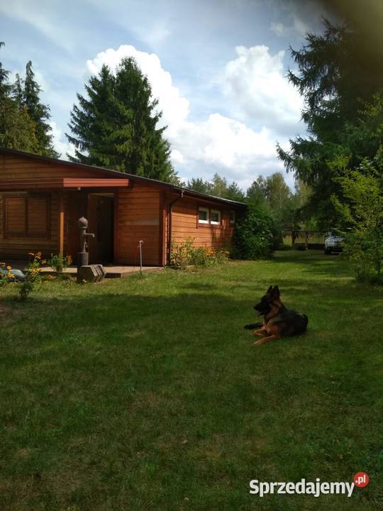 Działka z domkiem w Słowaku