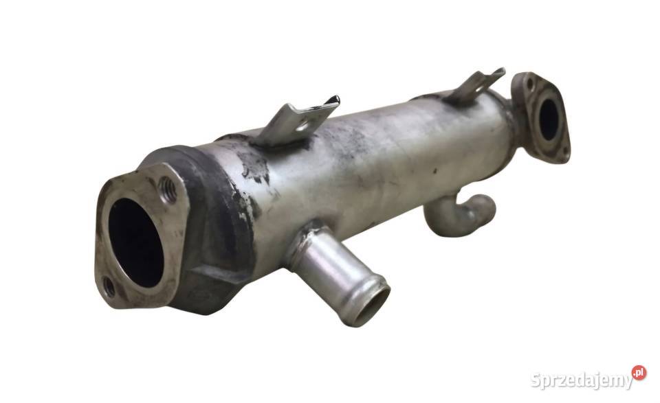 CHŁODNICA CHŁODNICZKA SPALIN EGR SEAT LEON I świętokrzyskie Działoszyce