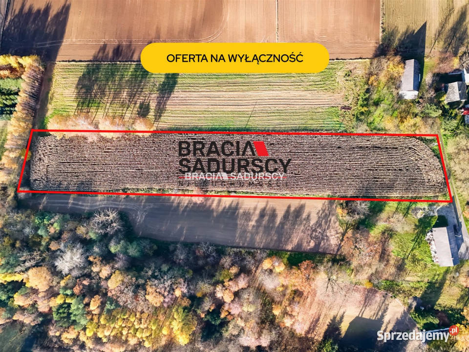 Grunt Przesławice 6000m2 małopolskie