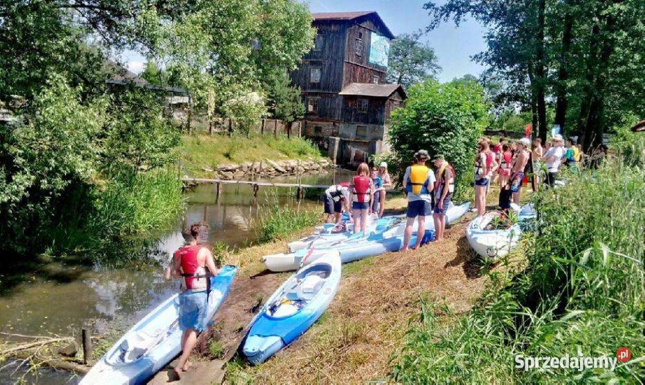 Kajaki spływy Roztocze Hutki Bondyrz Guciów Kajakarstwo Lublin