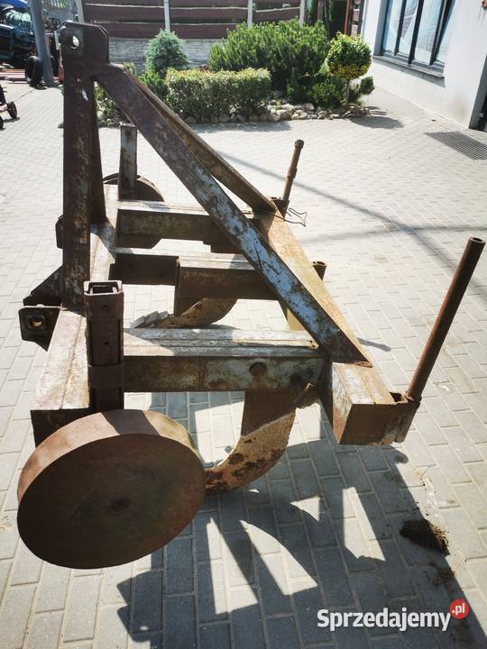 Głębosz 3 łapy Jarocin