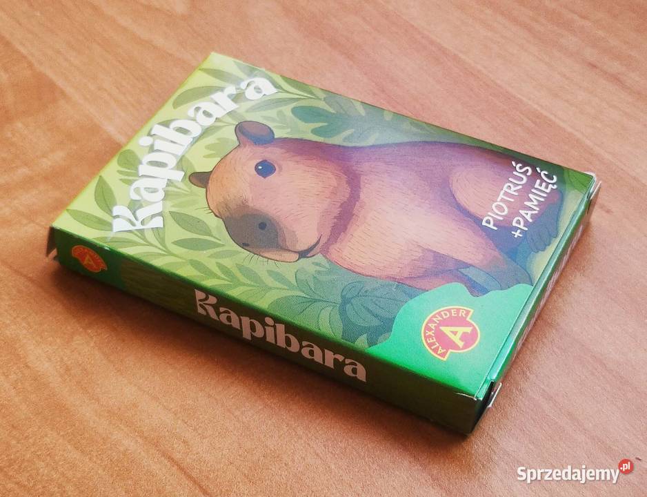 Karty Piotruś Pamięć Kapibara Ciechocinek