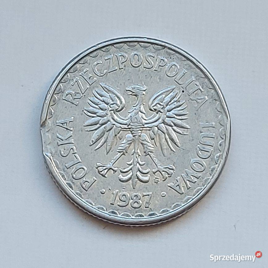 Moneta 1 DESKRUT Nowa Sól sprzedam