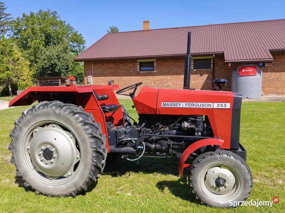 Ursus MF 255 Pierwszy właściciel Dawidy