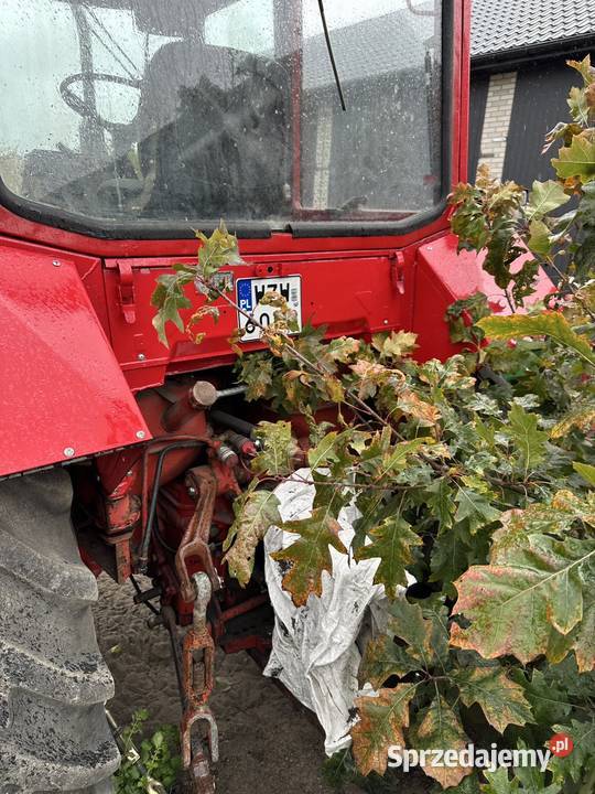 ciagnik mtz 82 1997 Zaczep górny mazowieckie Mierziączka