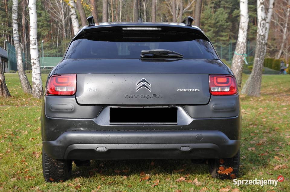 Citron C4 Cactus 12 PureTech Feel Edition śląskie