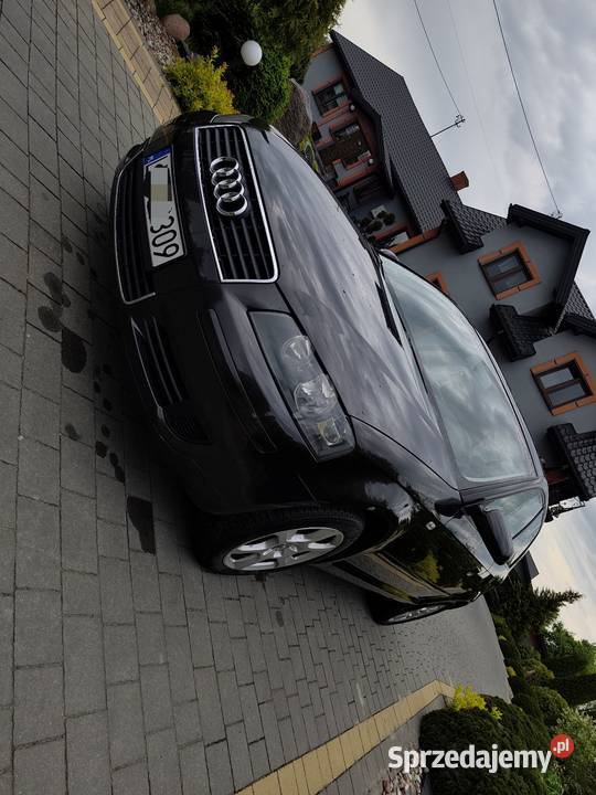 Audi a3 8p 16 mpi Radzyń Podlaski
