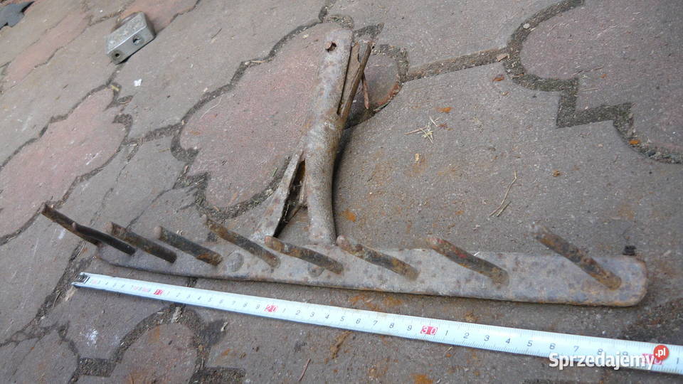 Grabie stare kowalskie kute podlaskie Sokółka