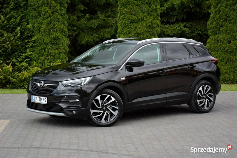 Opel Grandland X Radar Full Led Skóry Went BLIS