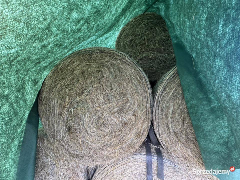 Siano Bele siana 120x130 TRANSPORT małopolskie Kasina Wielka sprzedam