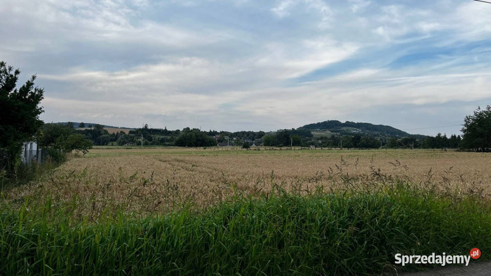 Działka z lasem w pobliżu Beskidy Sprzedaż Goleszów