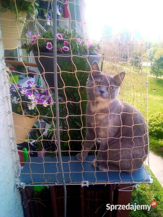 Siatka kotów na balkon montaż Warszawa mazowieckie