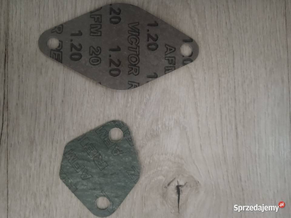 Zaślepka EGR dacia renault Kraków